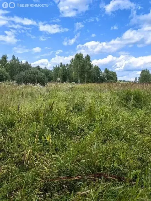 Участок в деревня Тимково (3.3 м) - Фото 2