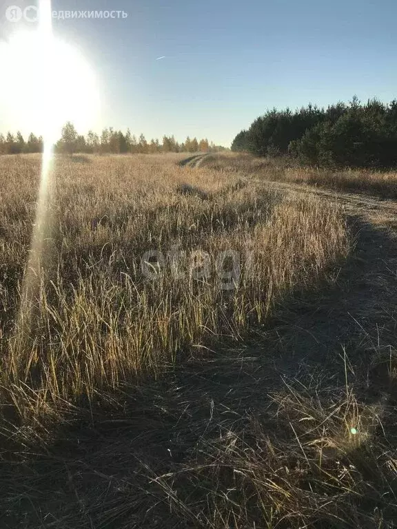 Участок в Нижегородская область, Дальнеконстантиновский муниципальный ... - Фото 1