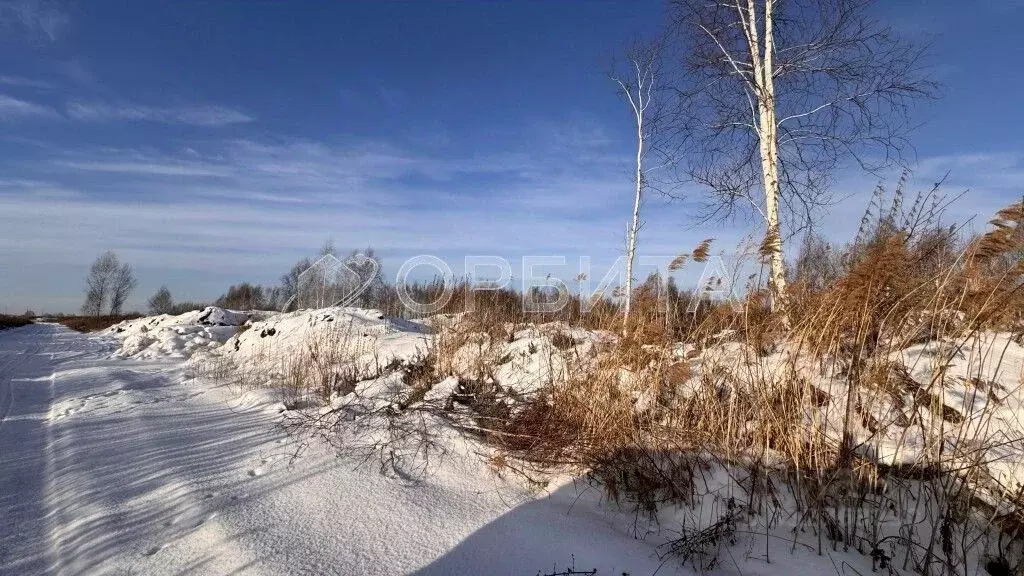 Участок в Тюменская область, Тюменский район, Янтарное ДНТ ул. ... - Фото 0