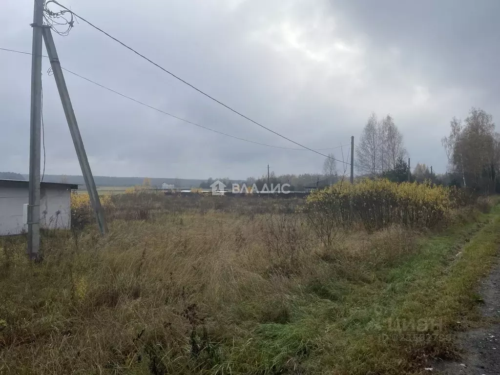 Участок в Владимирская область, Судогодский район, с. Чамерево ул. ... - Фото 2