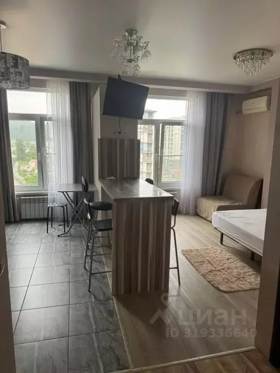 Студия Краснодарский край, Сочи Мамайка мкр, ул. Анапская, 25 (30.0 м) - Фото 1