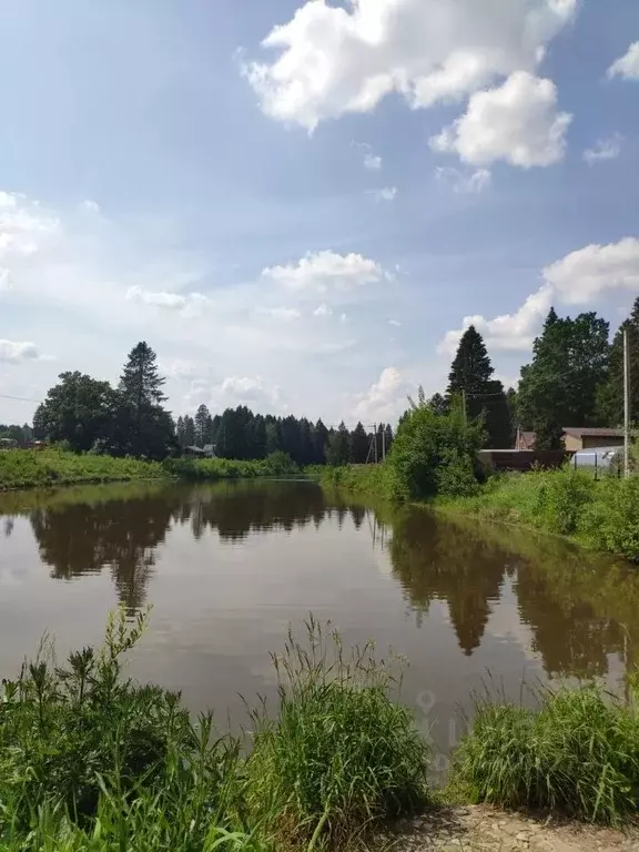 Участок в Владимирская область, Александровский район, Каринское ... - Фото 0