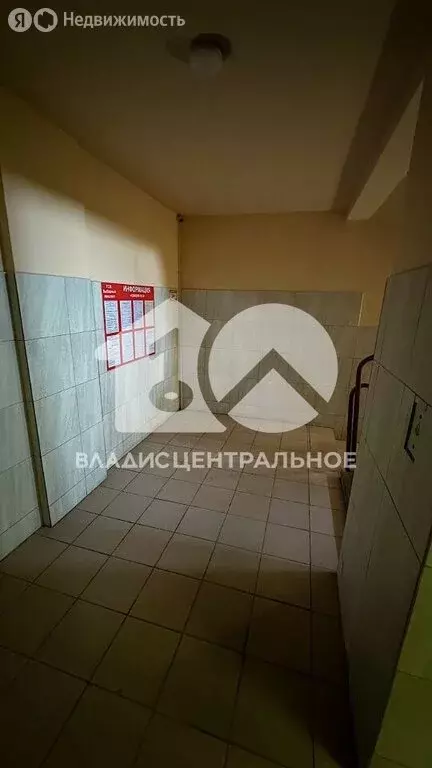 1-комнатная квартира: Новосибирск, Выборная улица, 125/1 (48.2 м) - Фото 1