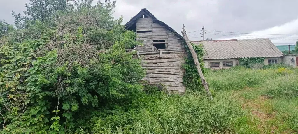 Участок в Воронежская область, Семилукский район, с. Губарево  (50.0 ... - Фото 1