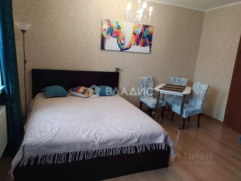 Студия Ленинградская область, Мурино Всеволожский район, просп. ... - Фото 1