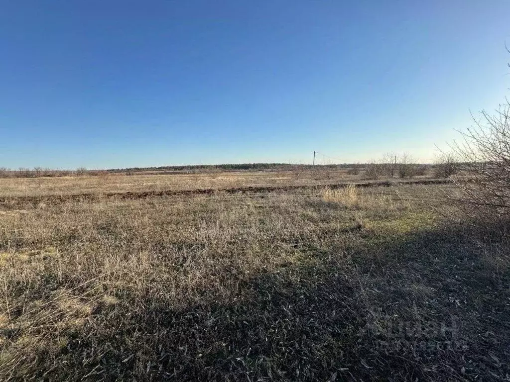 Участок в Саратовская область, Энгельсский район, Терновское ... - Фото 1