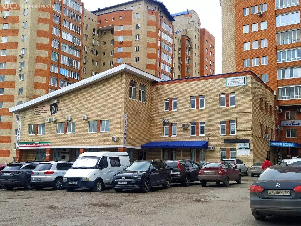 Офис (1823.6 м) - Фото 2