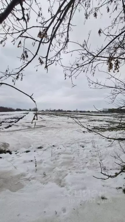 Дом в Ростовская область, Матвеево-Курганский район, Екатериновское ... - Фото 1