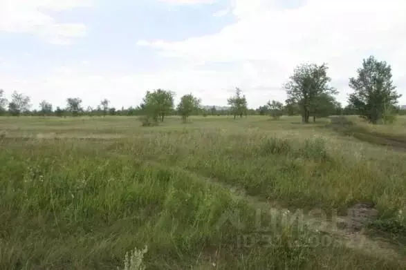 Участок в Самарская область, Тольятти Южное ш. (2300.0 сот.) - Фото 1
