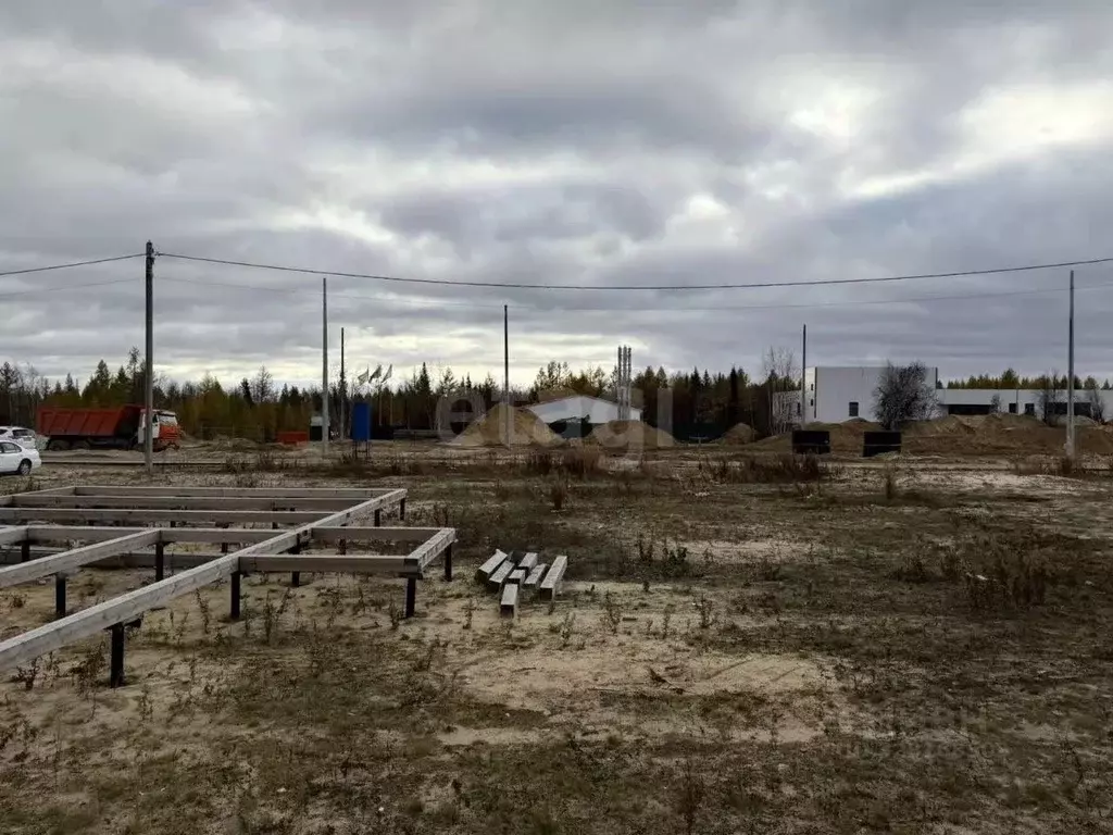 Участок в Ямало-Ненецкий АО, Новый Уренгой ул. Саврасова, 11 (6.0 ... - Фото 1