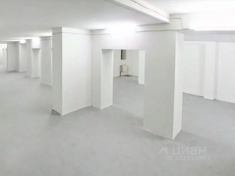 Торговая площадь в Москва Большая Никитская ул., 12С1 (249 м) - Фото 1