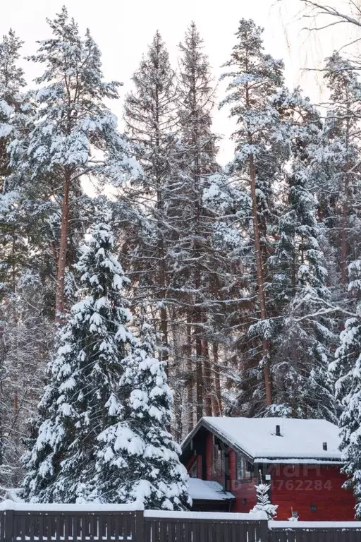 Участок в Московская область, Ступино городской округ, д. Колычево ул. ... - Фото 2
