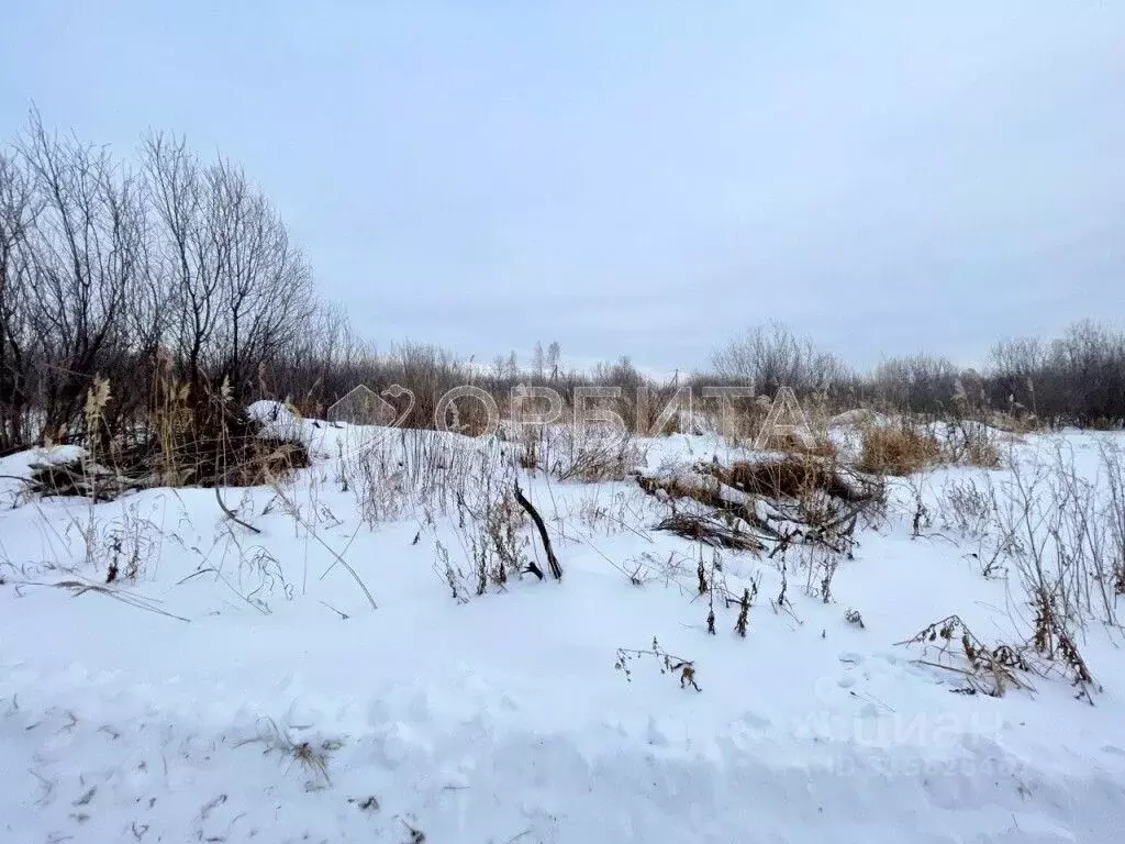 Участок в Тюменская область, Тюмень Большое Царево-1 ТСН,  (9.0 сот.) - Фото 0