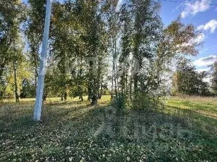 участок в новосибирская область, ордынский район, с. красный яр ул. . - Фото 1