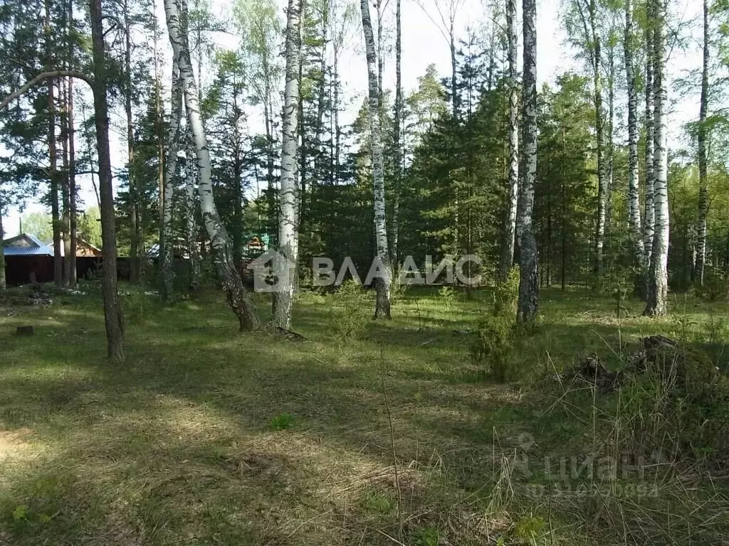 Участок в Владимирская область, Судогодский район, Лавровское ... - Фото 0