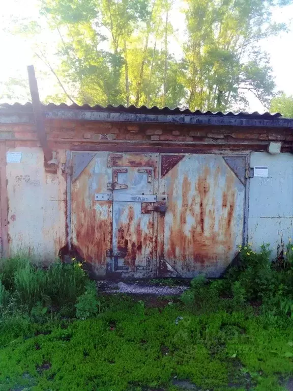 Гараж в Кемеровская область, Новокузнецк Водоемная ул., 8 (19 м) - Фото 1