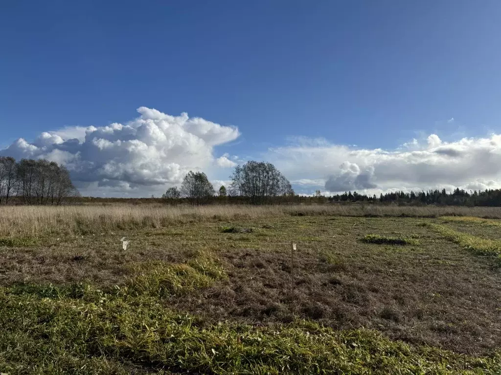 Участок в Ленинградская область, Гатчинский муниципальный округ, с. ... - Фото 1