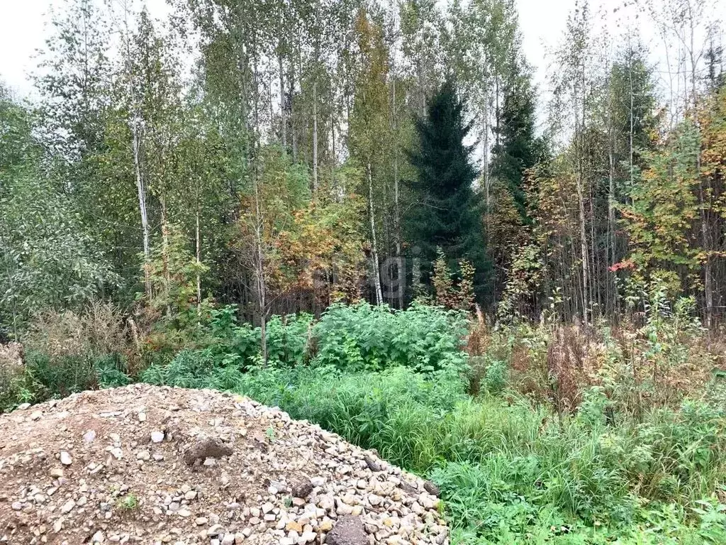 Участок в село Выльгорт, местечко Важъелью (11 м) - Фото 1