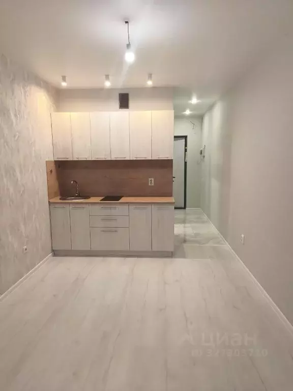 Студия Пензенская область, Пензенский район, Засечный сельсовет, с. ... - Фото 1