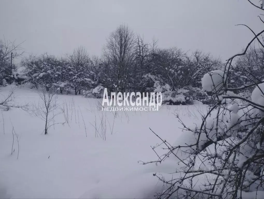 Участок в Ленинградская область, Всеволожский район, Колтушское ... - Фото 2