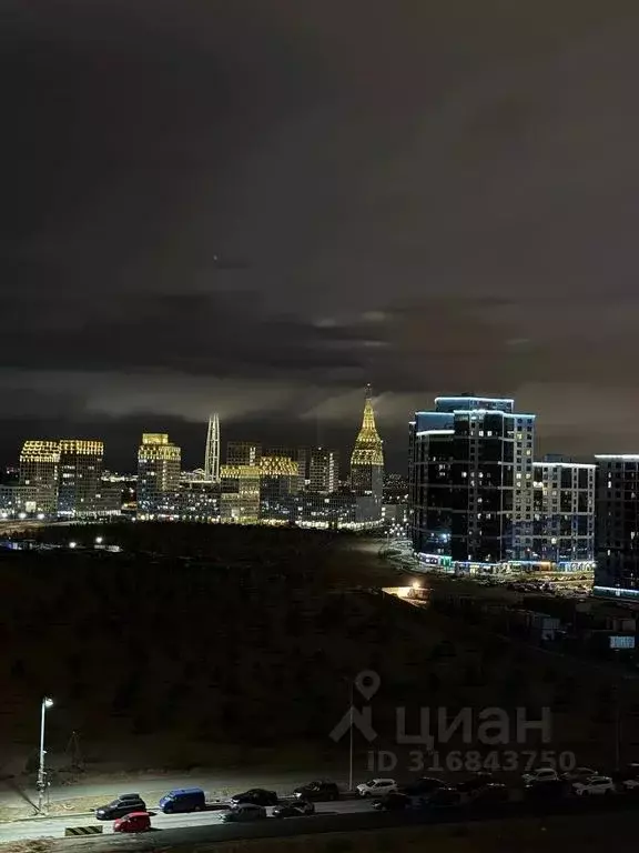 Студия Санкт-Петербург просп. Крузенштерна, 4 (20.0 м) - Фото 0