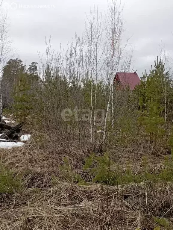 Участок в село Иковка, Сиреневая улица (15.4 м) - Фото 0