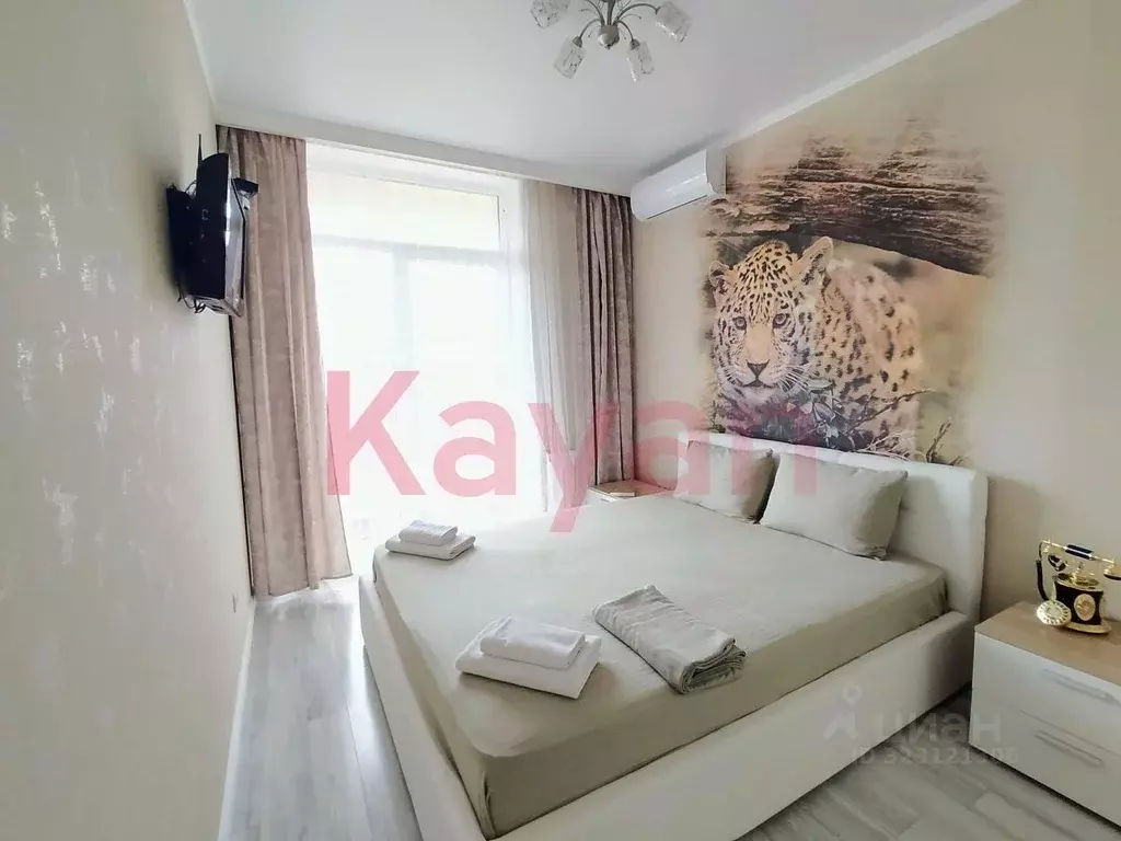 Студия Краснодарский край, Геленджик Просторная ул., 3 (31.0 м) - Фото 1