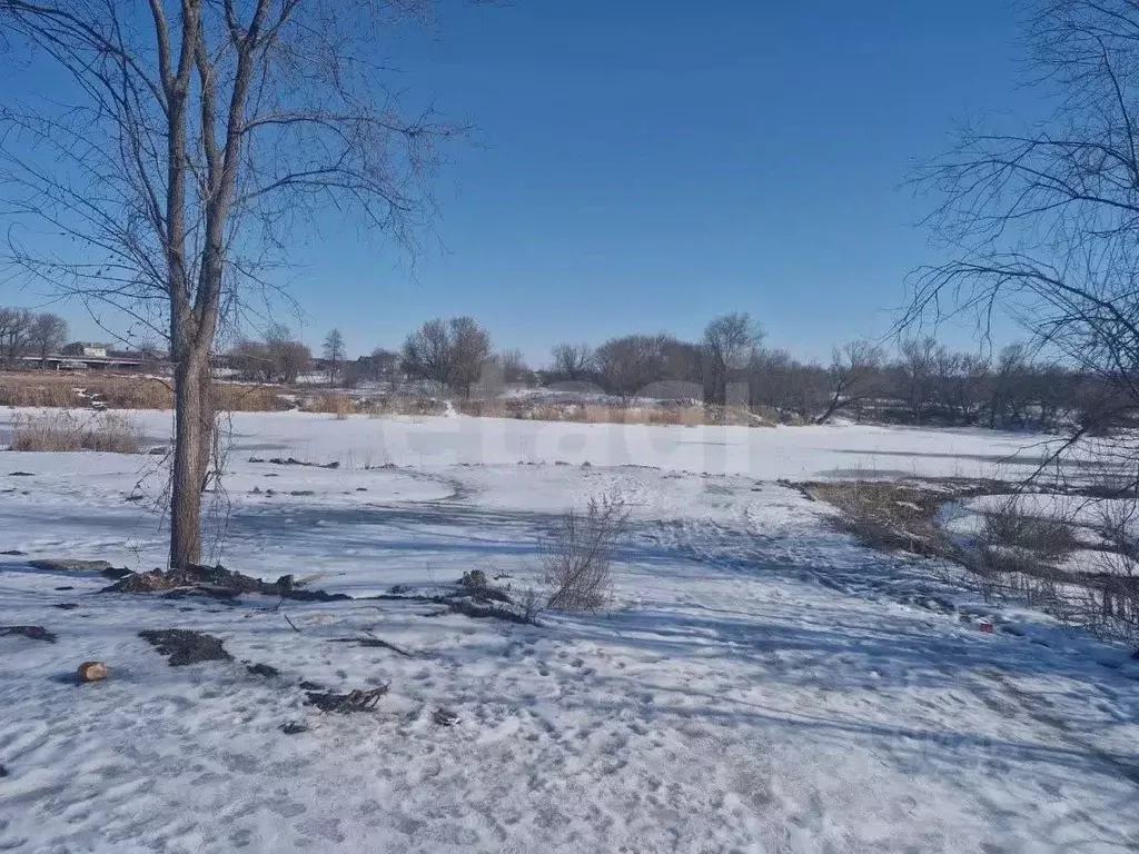 Участок в Белгородская область, Алексеевка ул. Некрасова, 100 (8.0 ... - Фото 1