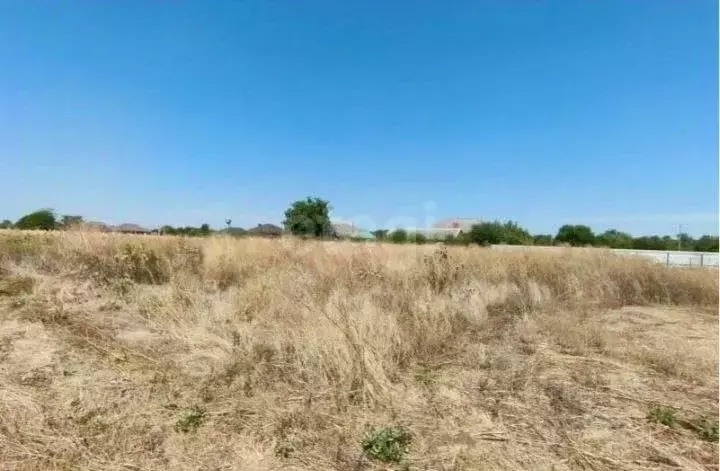 Участок в Краснодарский край, Новороссийск городской округ, ... - Фото 1