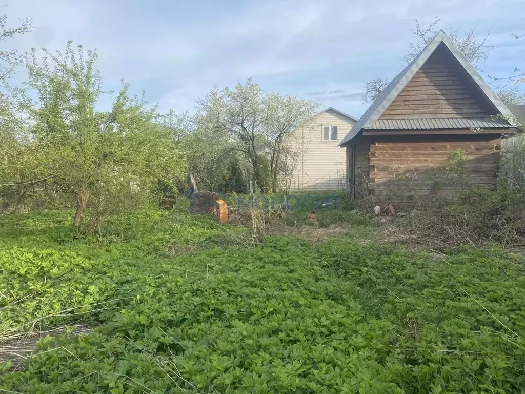 Дом в Нижегородская область, Нижний Новгород Дружба СНТ, 550 (43 м) - Фото 2