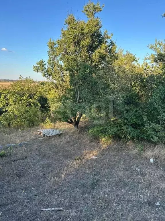 Участок в Ростовская область, Новочеркасск № 2 АО Магнит садовое ... - Фото 2