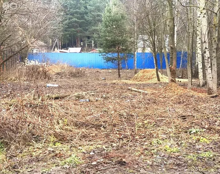 Участок в Московская область, 46К-5032 (12 м) - Фото 1