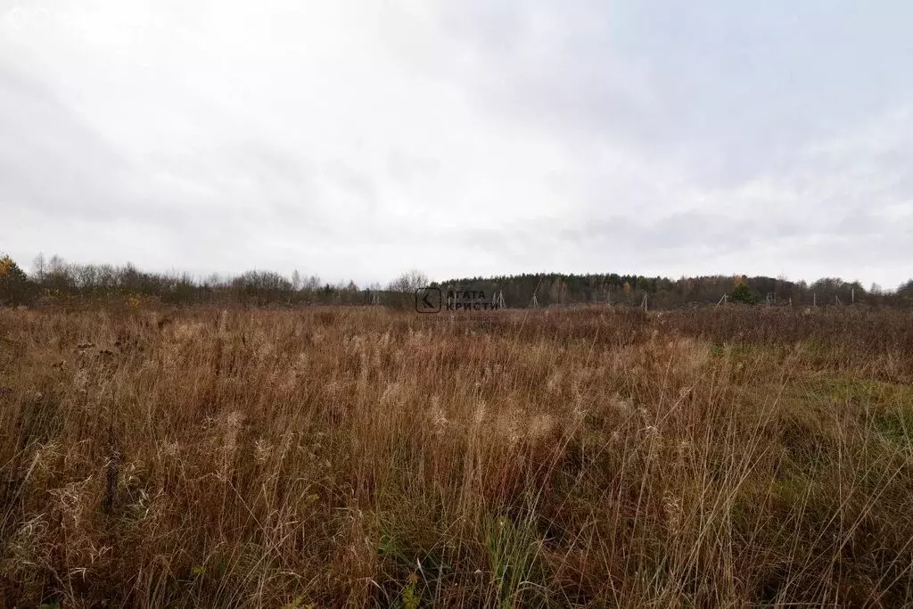 Участок в Павлово-Посадский городской округ, деревня Теренино (10 м) - Фото 2