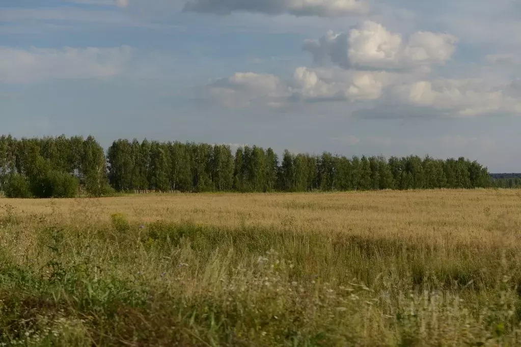 Участок в Тульская область, Ясногорский район, Теляковское ... - Фото 1