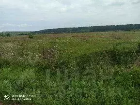 Участок в Калужская область, Козельский район, Бурнашево с/пос, д. ... - Фото 2