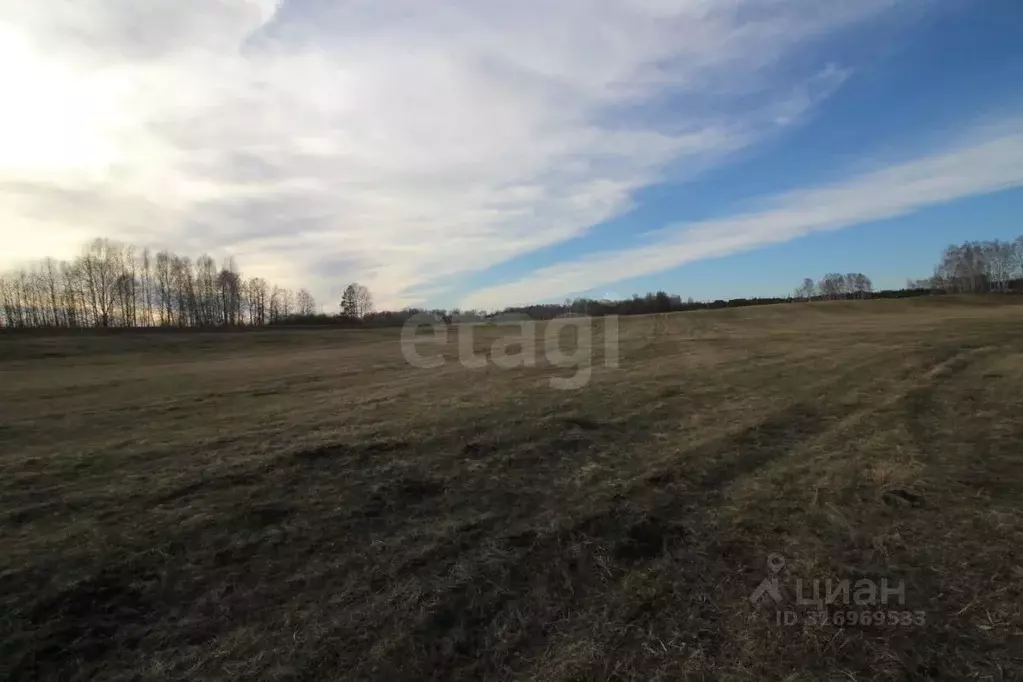 Участок в Красноярский край, Емельяново городское поселение, Зимницы ... - Фото 0