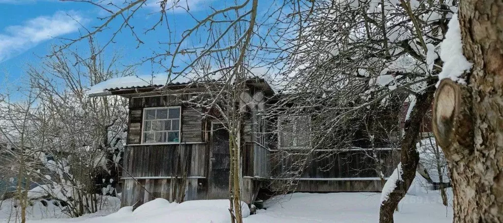 Участок в Санкт-Петербург № 3 ЛОМО СНТ,  (7.0 сот.) - Фото 1