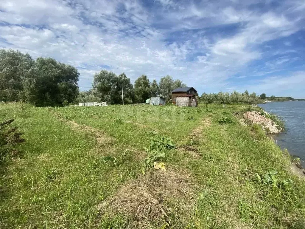 Участок в Новосибирская область, Колыванский район, Аква СНТ 132 (12.0 ... - Фото 0