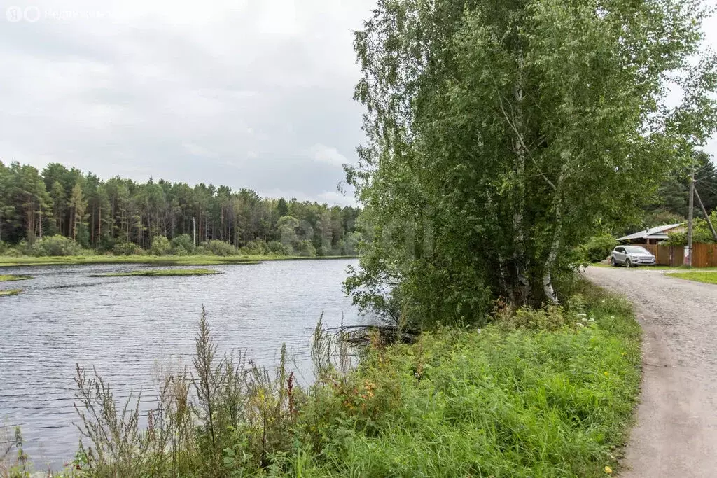 Участок в Ворогушинское сельское поселение, садоводческое товарищество ... - Фото 1