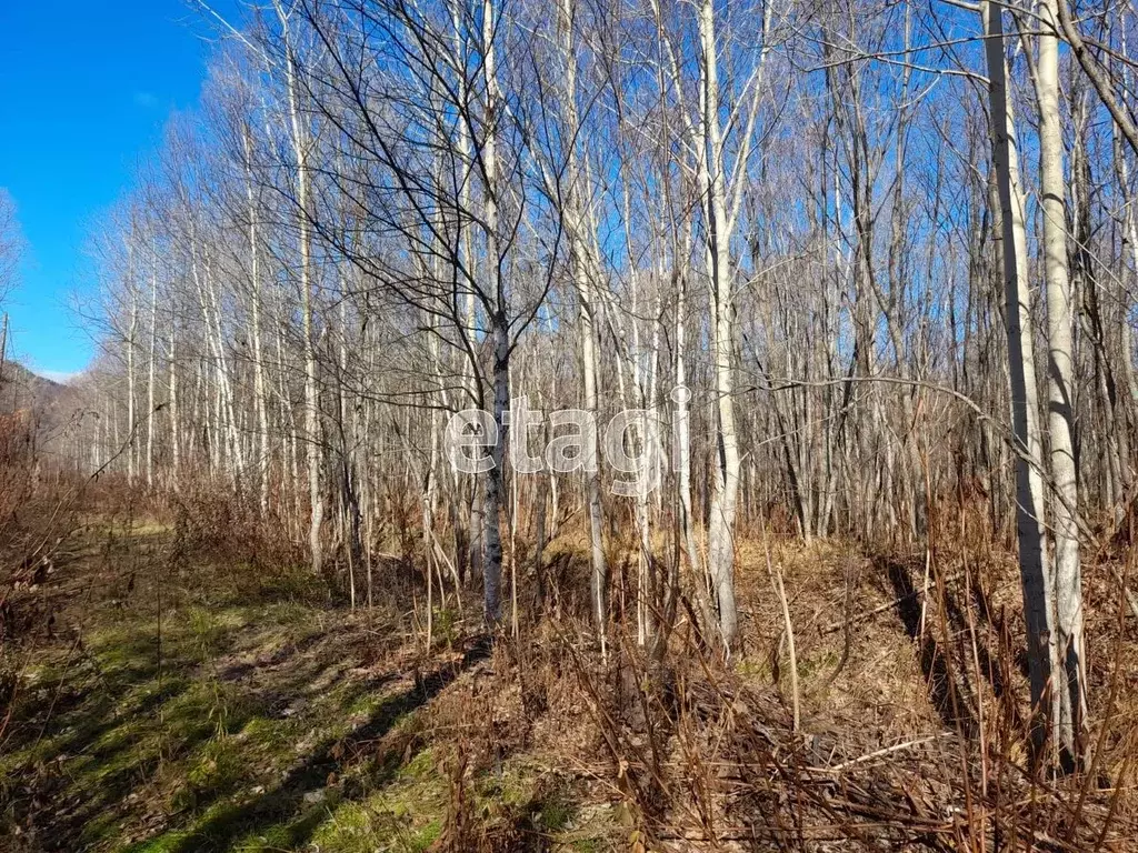 Участок в Сахалинская область, Южно-Сахалинск городской округ, с. ... - Фото 1