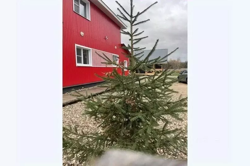 Дом в Архангельская область, Устьянский муниципальный округ, д. ... - Фото 0