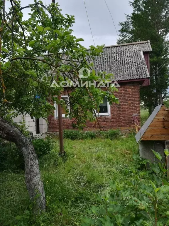Дом в Ленинградская область, Сланцевский район, Черновское с/пос, д. ... - Фото 1