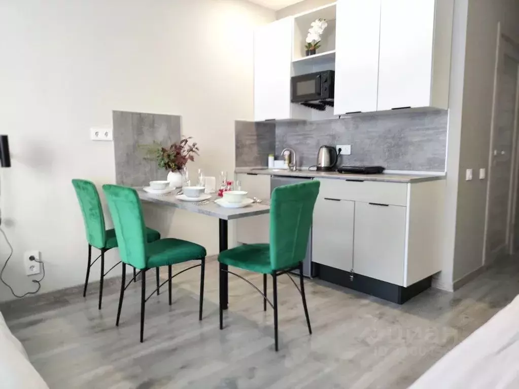 Студия Санкт-Петербург Витебский просп., 99к1 (25.0 м) - Фото 1
