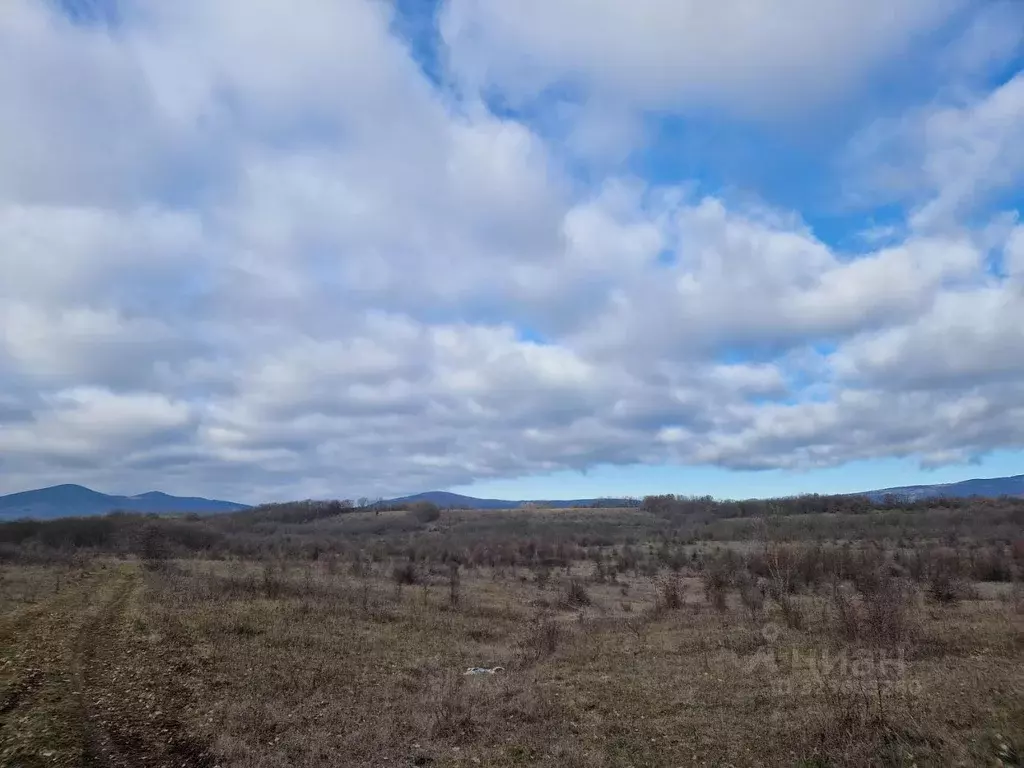 Участок в Севастополь с. Россошанка,  (198.0 сот.) - Фото 2