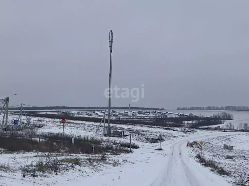 Участок в Белгородская область, Белгородский район, Головинское с/пос, ... - Фото 0