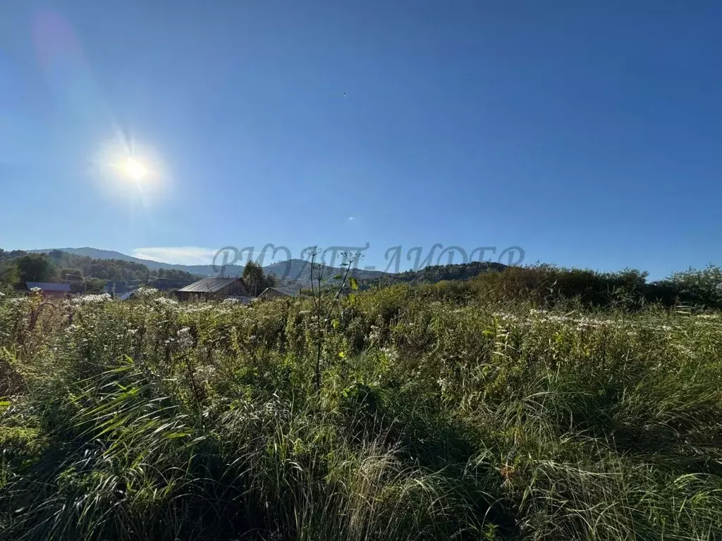 Участок в Алтай, Майминский район, с. Кызыл-Озек ул. Напалковой (10.0 ... - Фото 1