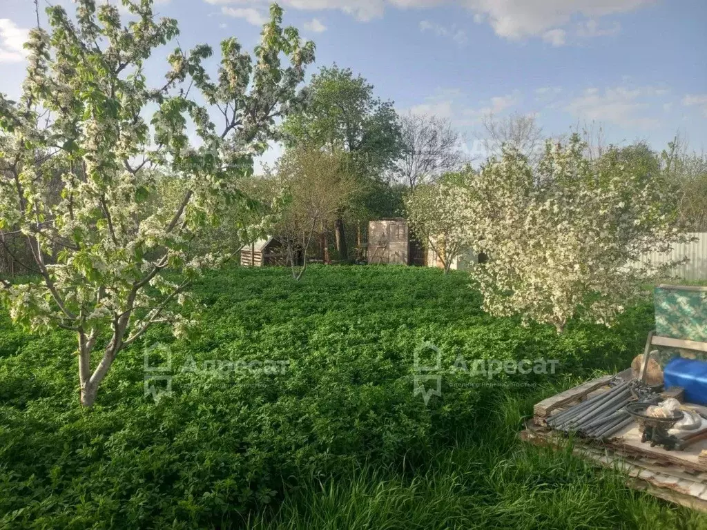 Дом в Волгоградская область, Волгоград Восход СНТ,  (42 м) - Фото 0