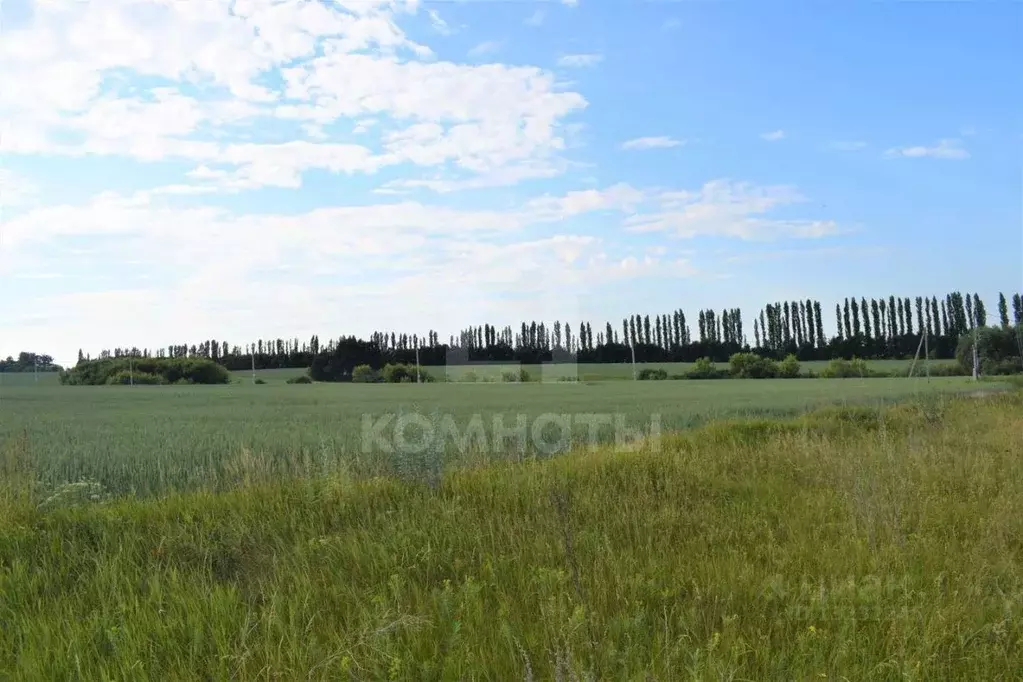 Участок в Воронежская область, Семилукский район, с. Губарево ... - Фото 1