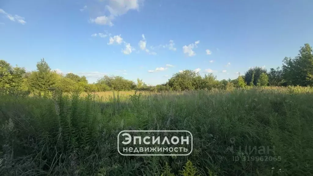 Участок в Курская область, Курский район, Камышинский сельсовет, ... - Фото 0