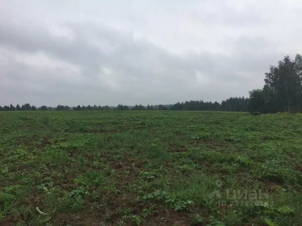 Участок в Московская область, Клин городской округ, д. Теренино  (17.5 ... - Фото 1